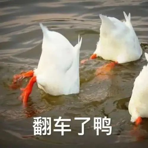 DƬ